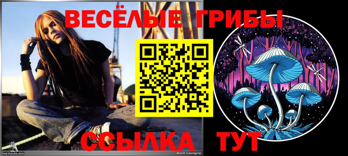 Сызрань  Псилоцибиновые грибы Psilocybe  Вход с VPN 